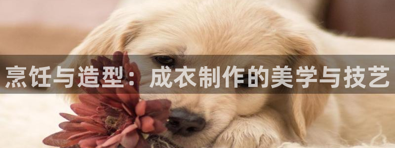 乐发彩票网平台可信不