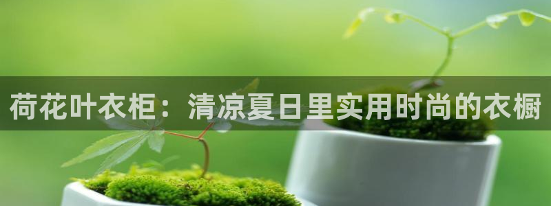 乐享发圈平台