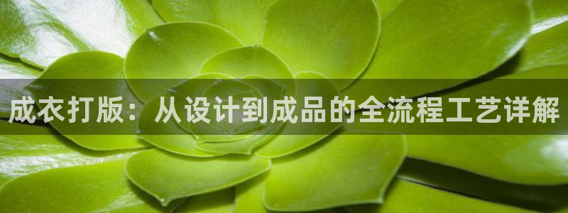 乐赚发圈平台app是真的吗