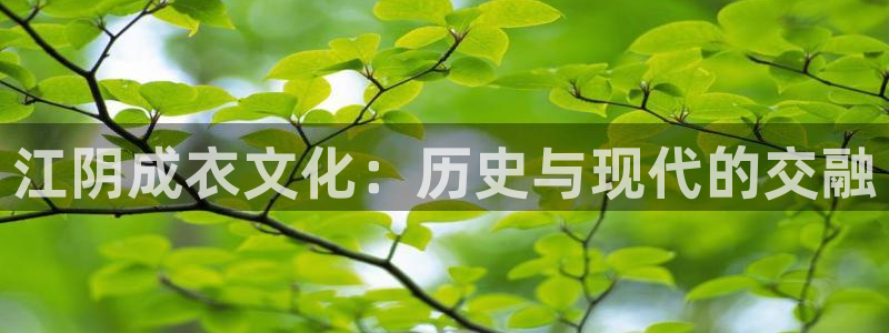 乐发1平台下载