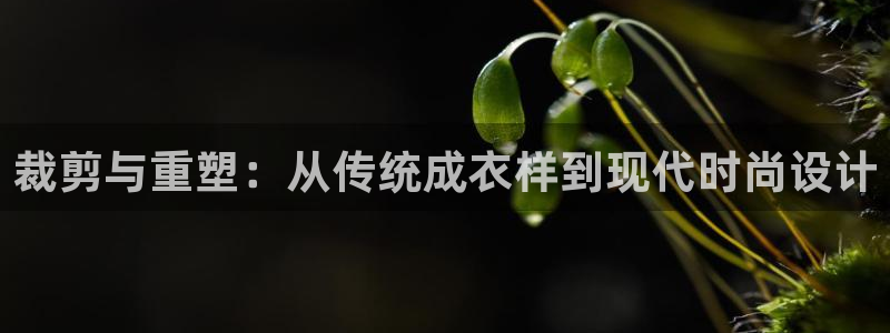 兼职乐app发圈平台