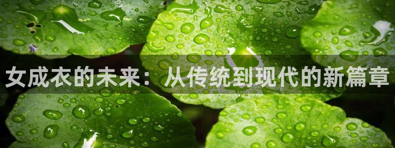 乐发平台app下载安装