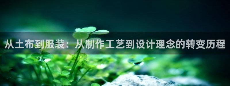 乐发彩票平台入口下载
