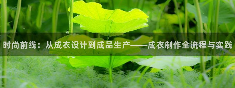 乐发彩票网平台带人玩的