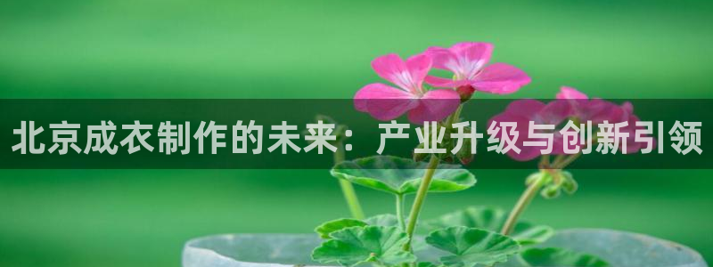 类似乐虎优发老虎机平台