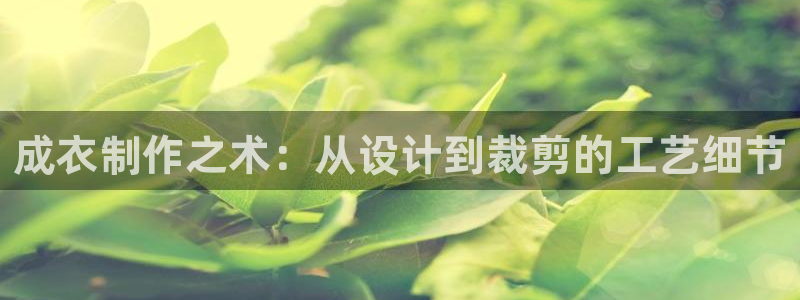 乐发v11平台怎样