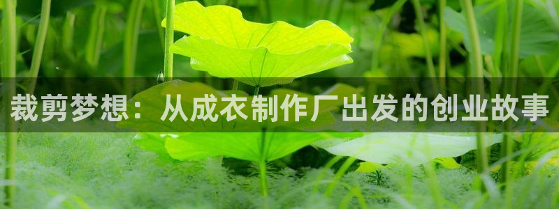 乐豪发官方娱乐平台