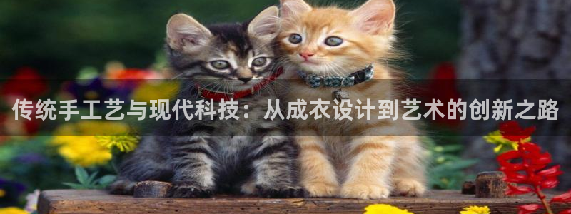 乐发体育平台官网下载