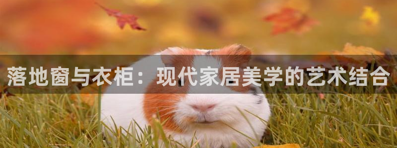 乐发平台网址是什么