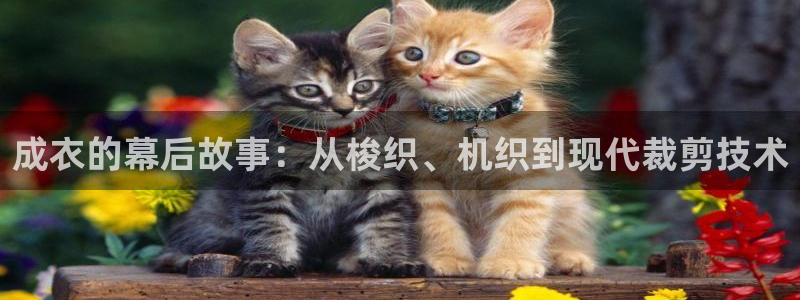 发乐发彩票平台注册码