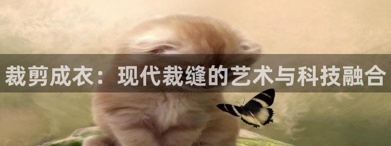 乐发传媒是怎样的平台