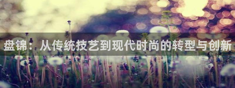 乐发宾果彩票平台
