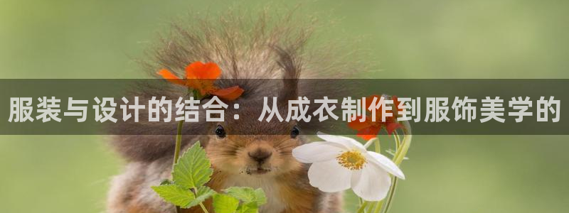 乐发 il彩票平台入口