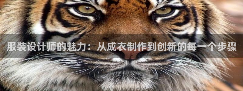 乐发ii彩票平台怎么样