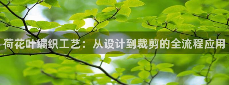 乐发II平台官方
