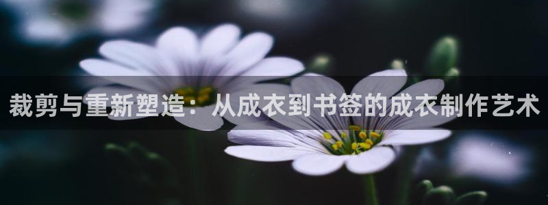 乐发ii彩票平台怎么样
