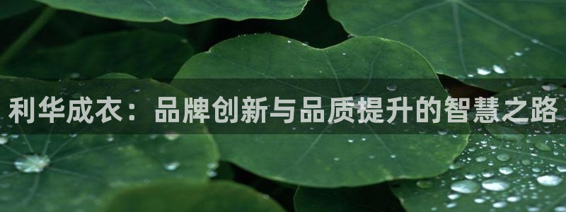 乐发安全平台邀请码