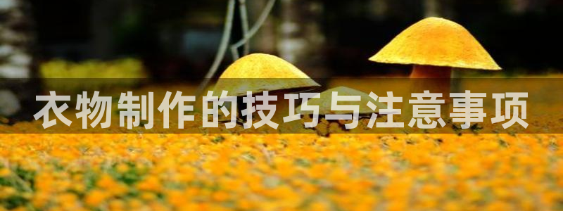 乐发平台怎么注销账户