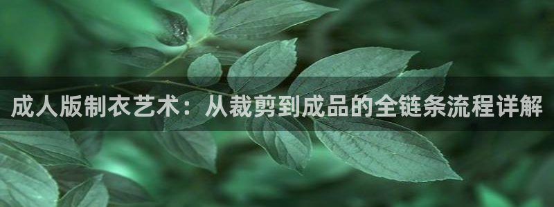 乐发邀请码平台有哪些