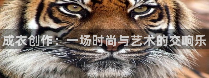 乐发彩票平台正规不