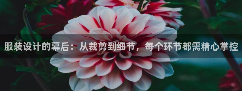乐发传媒平台放单
