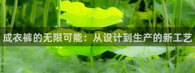 乐发彩票平台入口官网