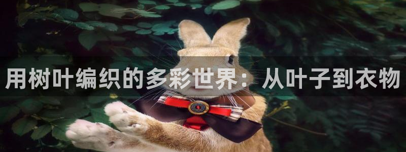 乐发国际平台
