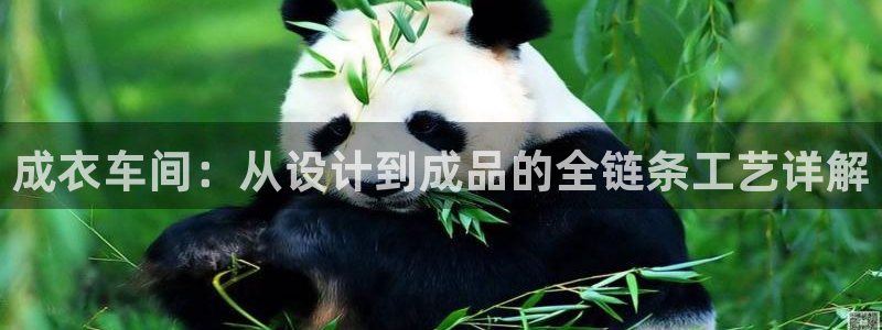 乐发彩票登录平台下载