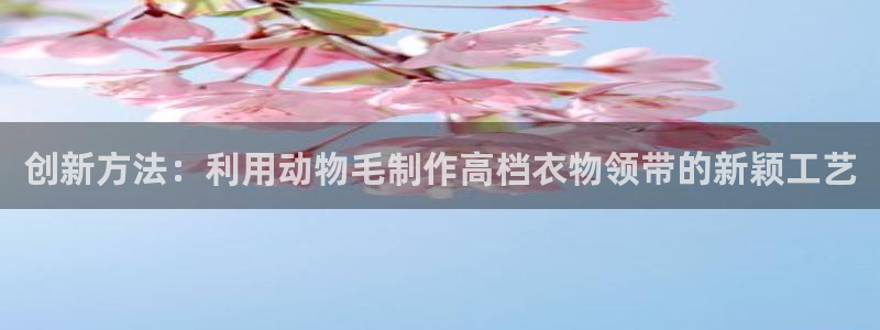 乐发1平台