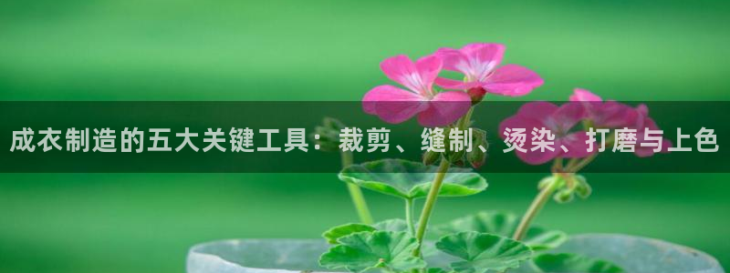 乐发体育平台官网