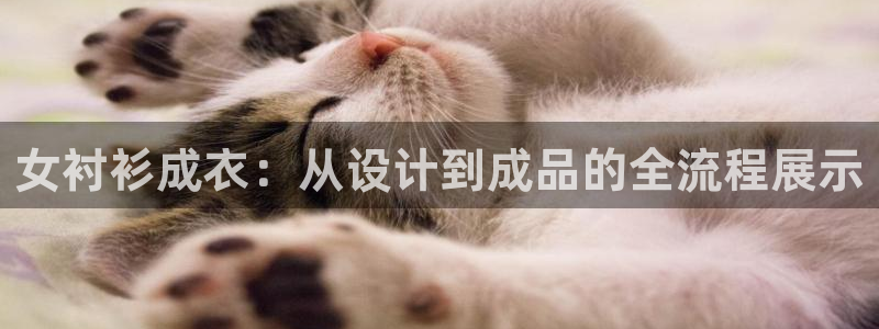 乐享发圈平台App苹果版下载