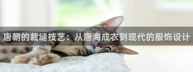 乐发vl彩票平台合法