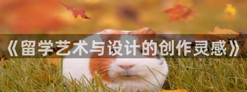 乐发平台邀请码怎么获取