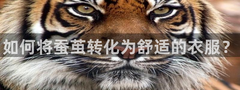 乐发彩票平台跑路了吗