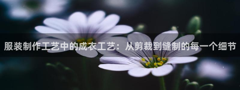 乐发彩票是赌博平台吗
