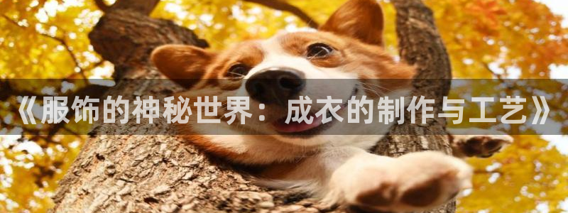 乐跑工资发平台还是卡里