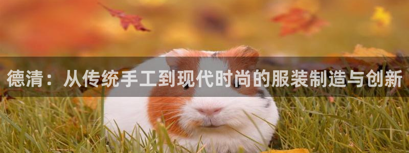 大发云系统彩票平台乐发