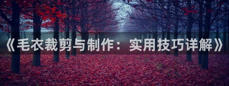 乐发彩票是什么平台啊