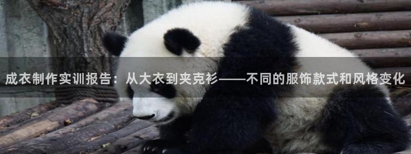 乐享发圈平台App苹果版下载