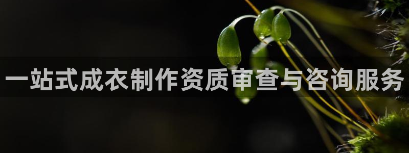 乐发平台赚钱技巧