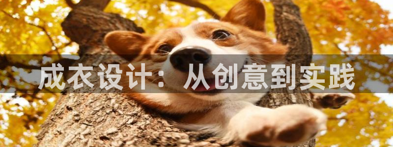 乐发平台怎么样可靠吗