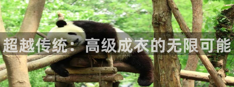 乐发快三彩票平台官网