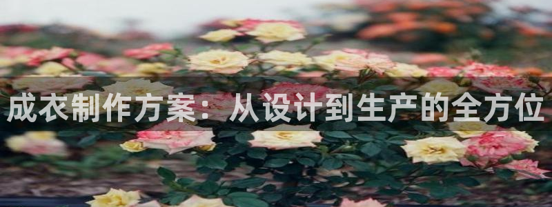 乐发平台出来的时间