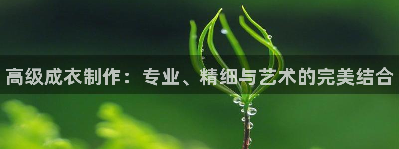 乐发vl彩票平台