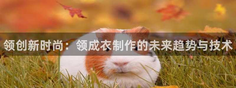 乐发彩票官网登录平台