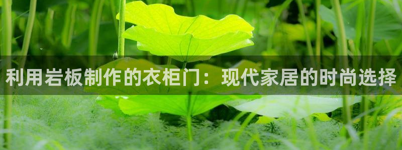 乐发彩票平台官网