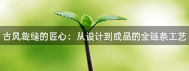 乐发平台金辉娱乐怎么样